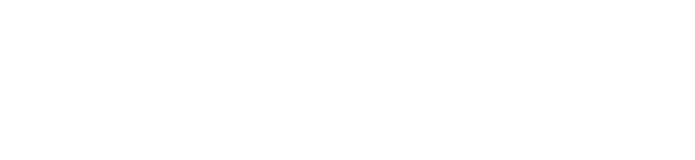 Scaletronic logo